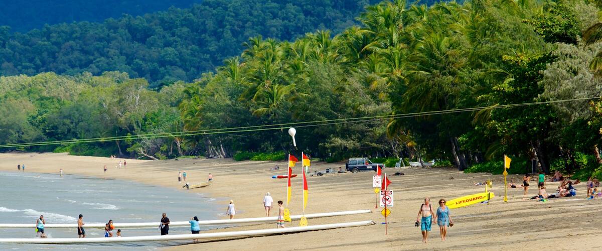 Palm Cove Beach que incluye natación, una playa de arena y escenas tropicales