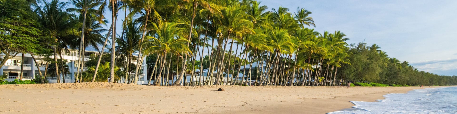 Palm Cove Beach featuring a beach, tropical scenes and general coastal views