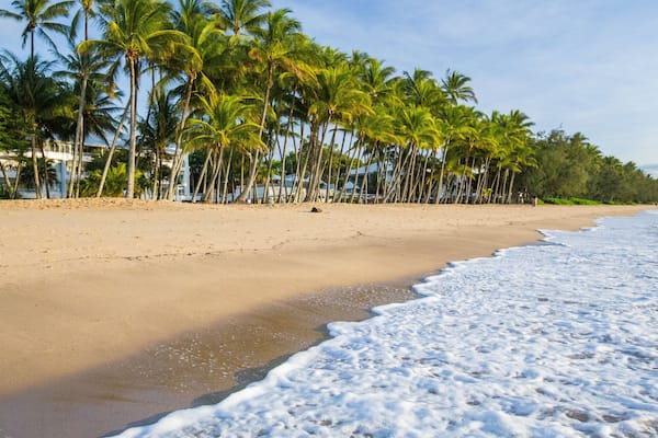 Palm Cove Beach featuring a beach, tropical scenes and general coastal views
