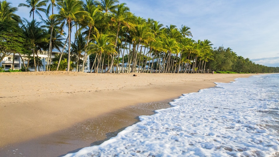 Palm Cove Beach featuring a beach, tropical scenes and general coastal views