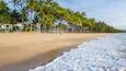 Palm Cove Beach featuring a beach, tropical scenes and general coastal views