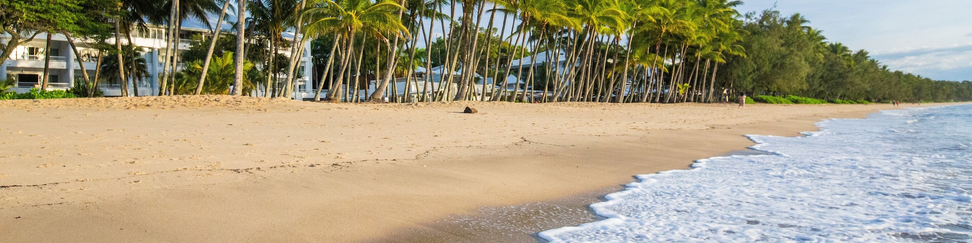 Palm Cove Beach featuring a beach, tropical scenes and general coastal views