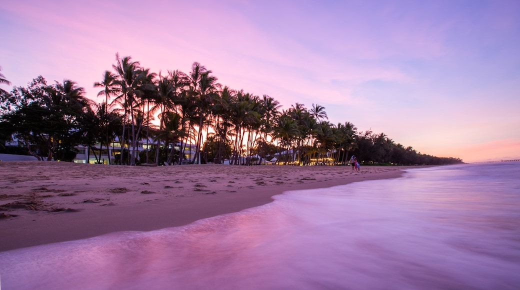 Palm Cove Beach featuring a beach, tropical scenes and a sunset