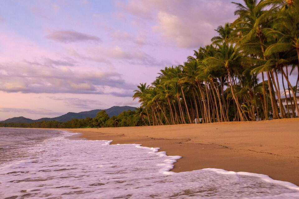 Una playa con palmeras y montañas al fondo.