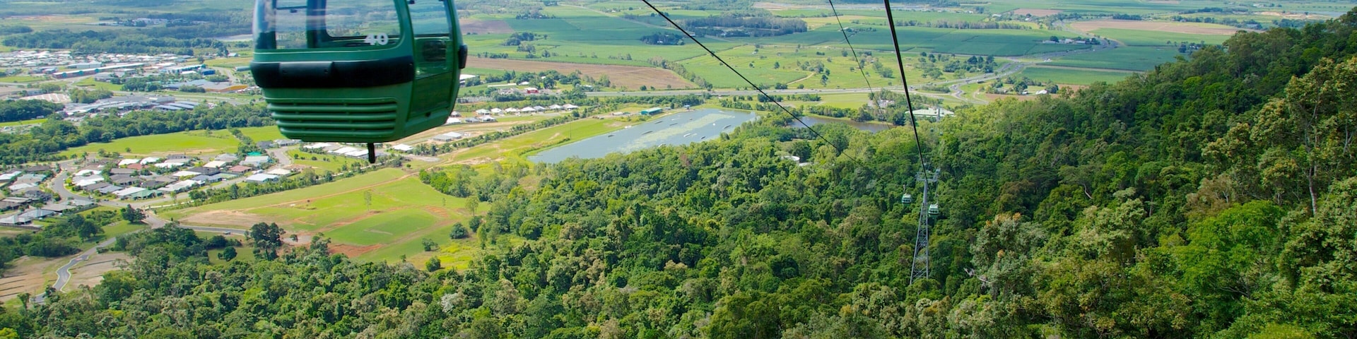 Skyrail Rainforest Cableway mostrando imágenes de bosques y selva