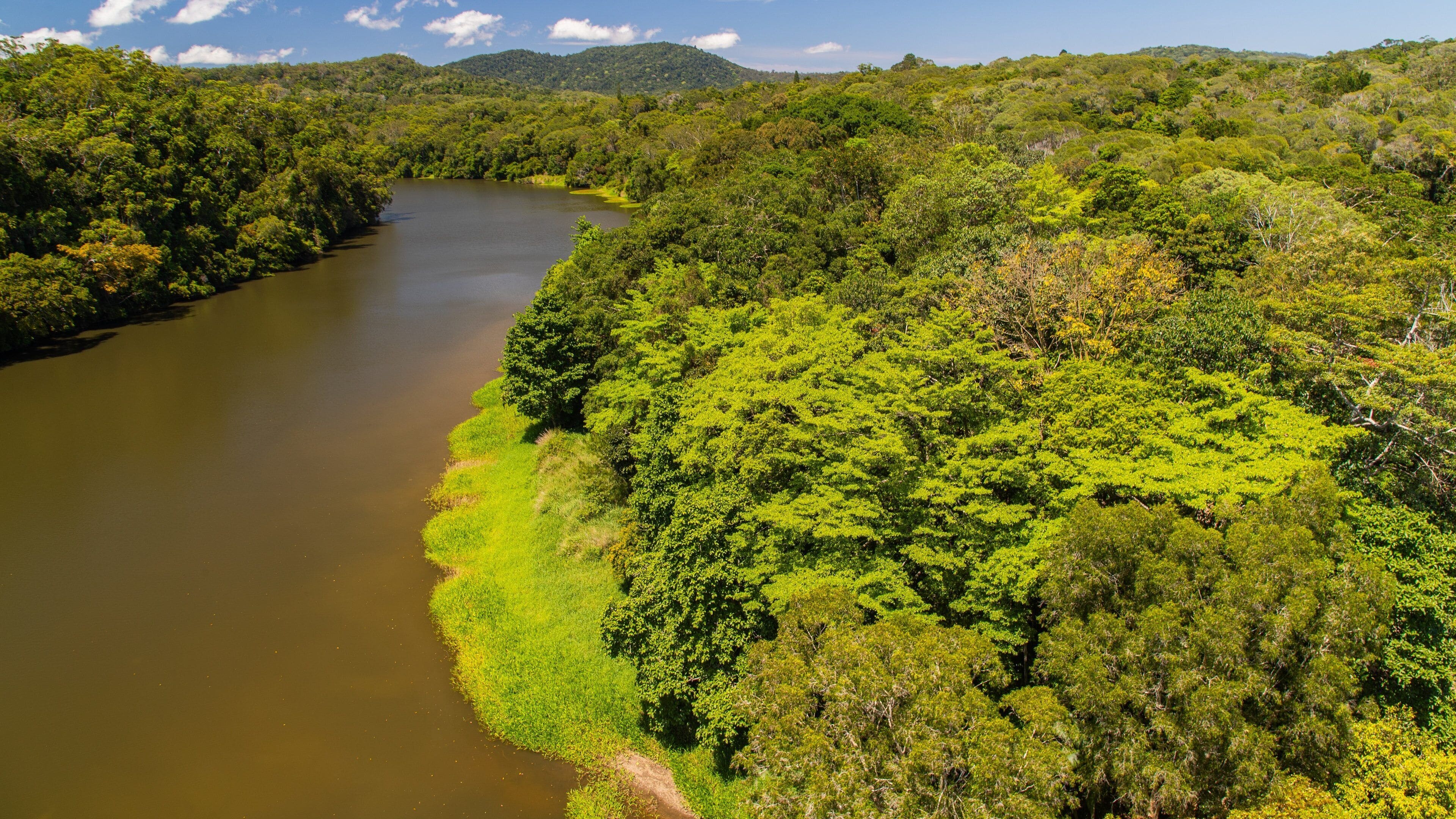 Skyrail Rainforest Cableway which includes tranquil scenes, a river or creek and landscape views
