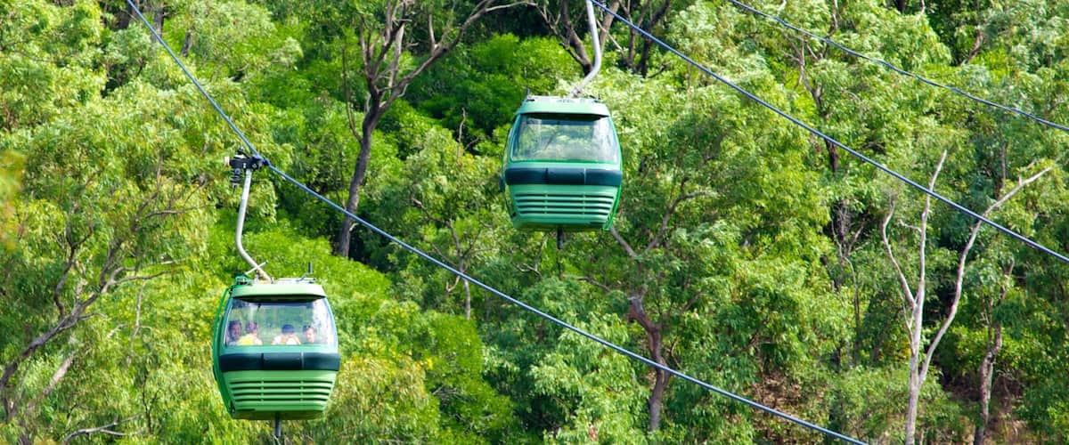 Skyrail Rainforest Cableway showing a gondola, forests and rainforest