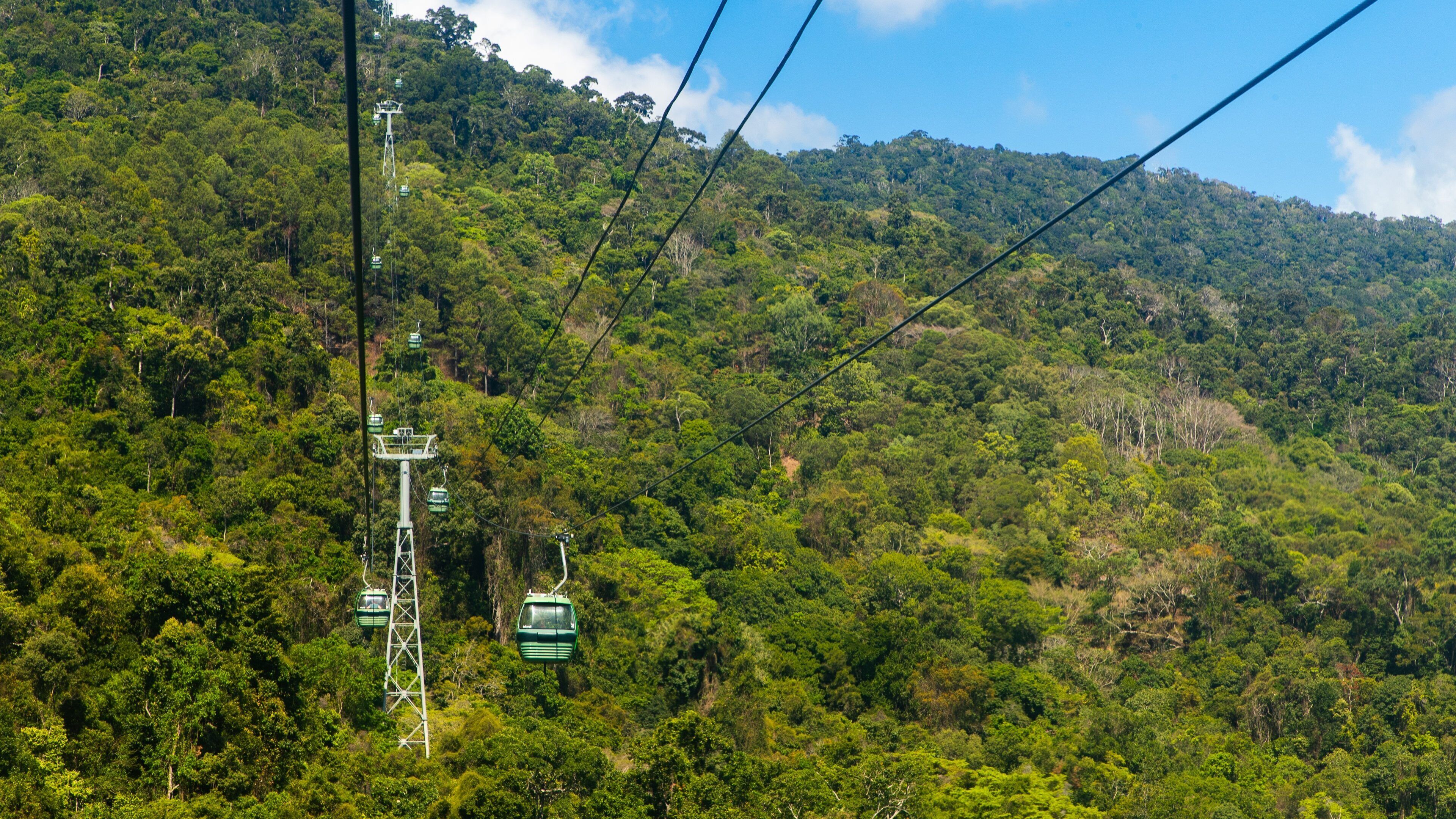 Skyrail Rainforest Cableway featuring tranquil scenes and a gondola