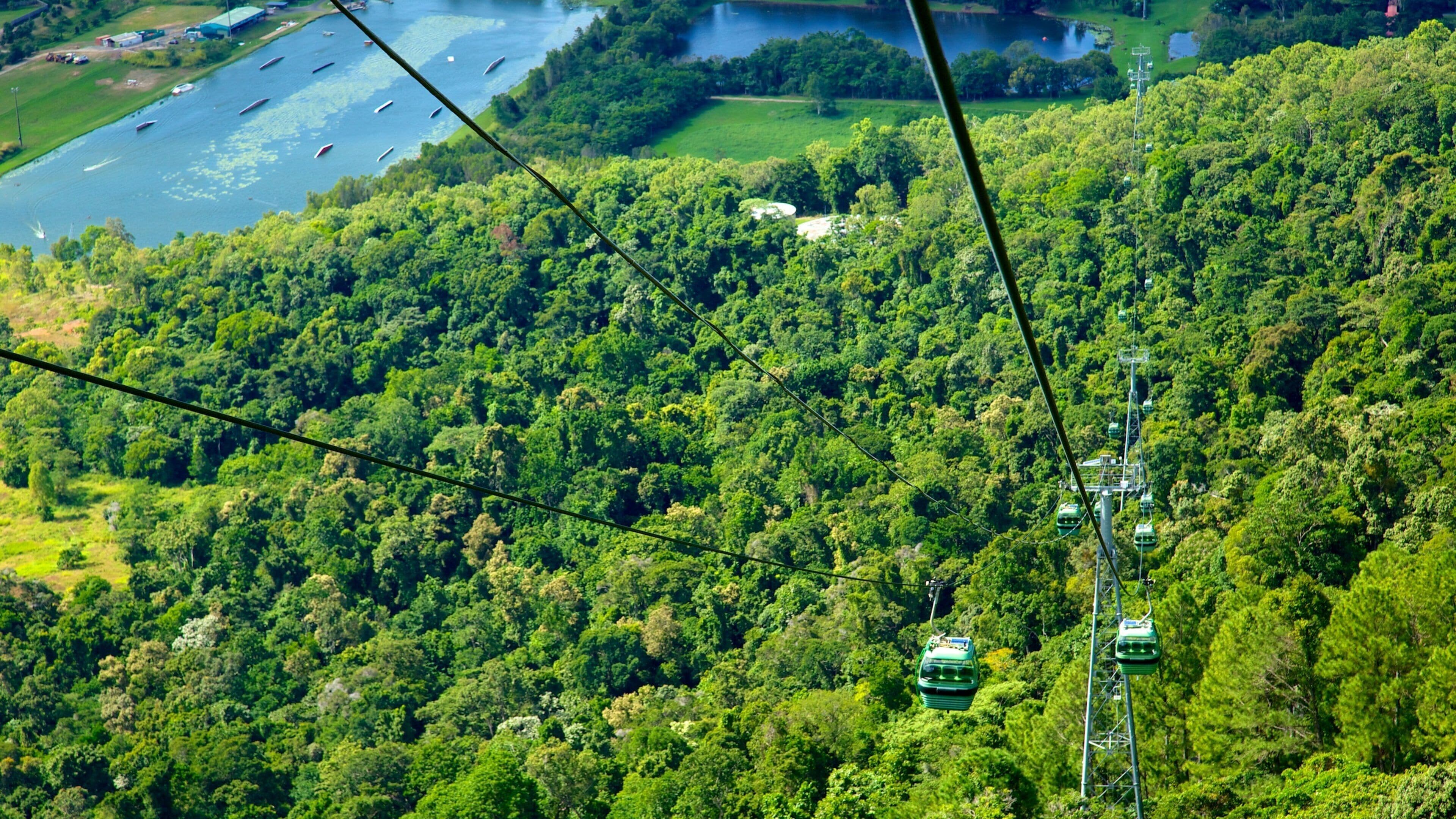 A cable car system in a dense forest with a lake and boats in the background.