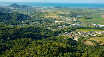 Skyrail Rainforest Cableway which includes rainforest and landscape views