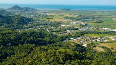 Skyrail Rainforest Cableway which includes rainforest and landscape views