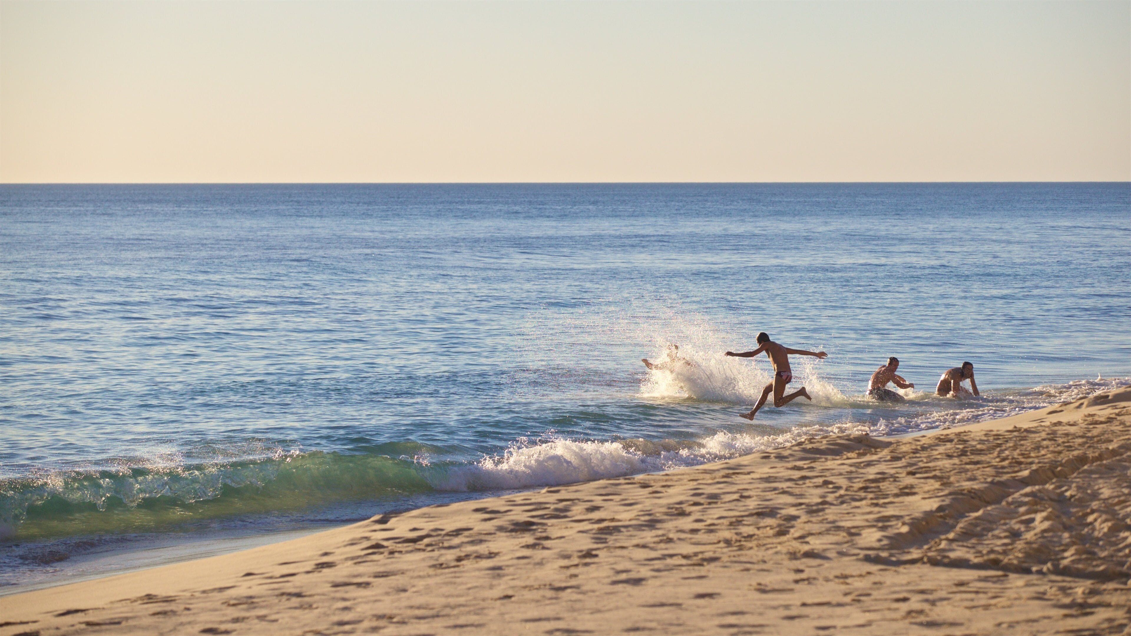Cottesloe Beach showing a sunset, a beach and general coastal views