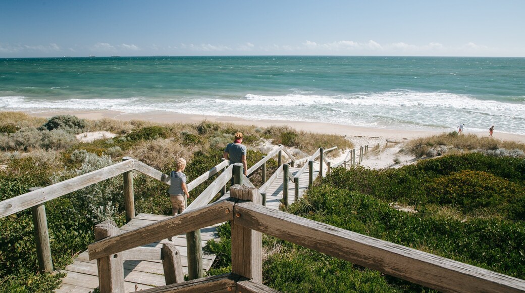 Cottesloe Beach which includes general coastal views as well as a family