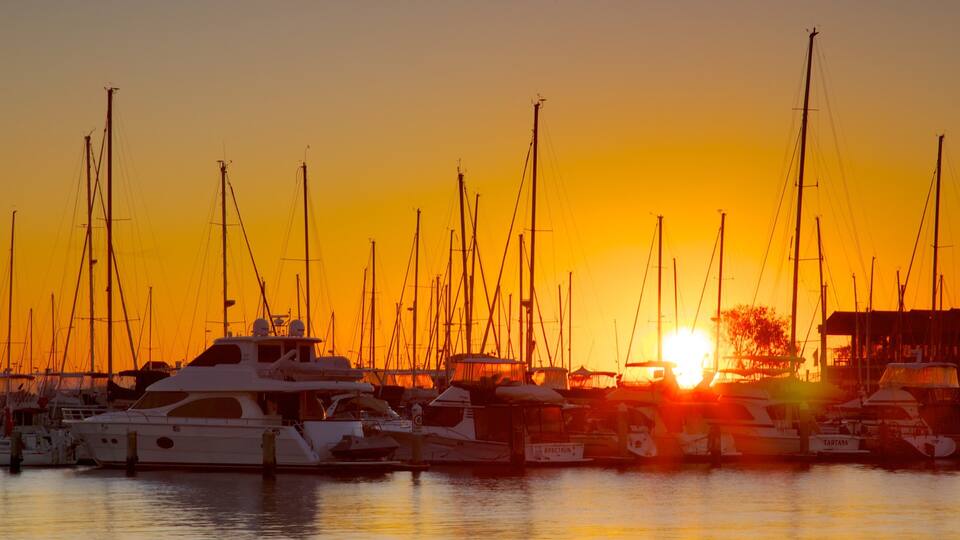 Un puerto deportivo con varios veleros amarrados al atardecer.