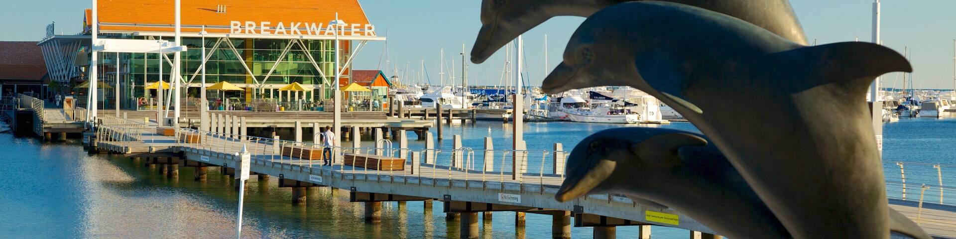 Dolphins leaping out of the water near a pier with a building labeled "BREAKWATER" in the background.