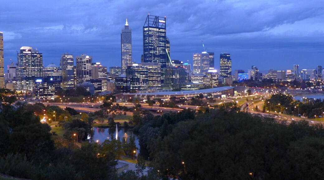 View of Perth City from Kings Park