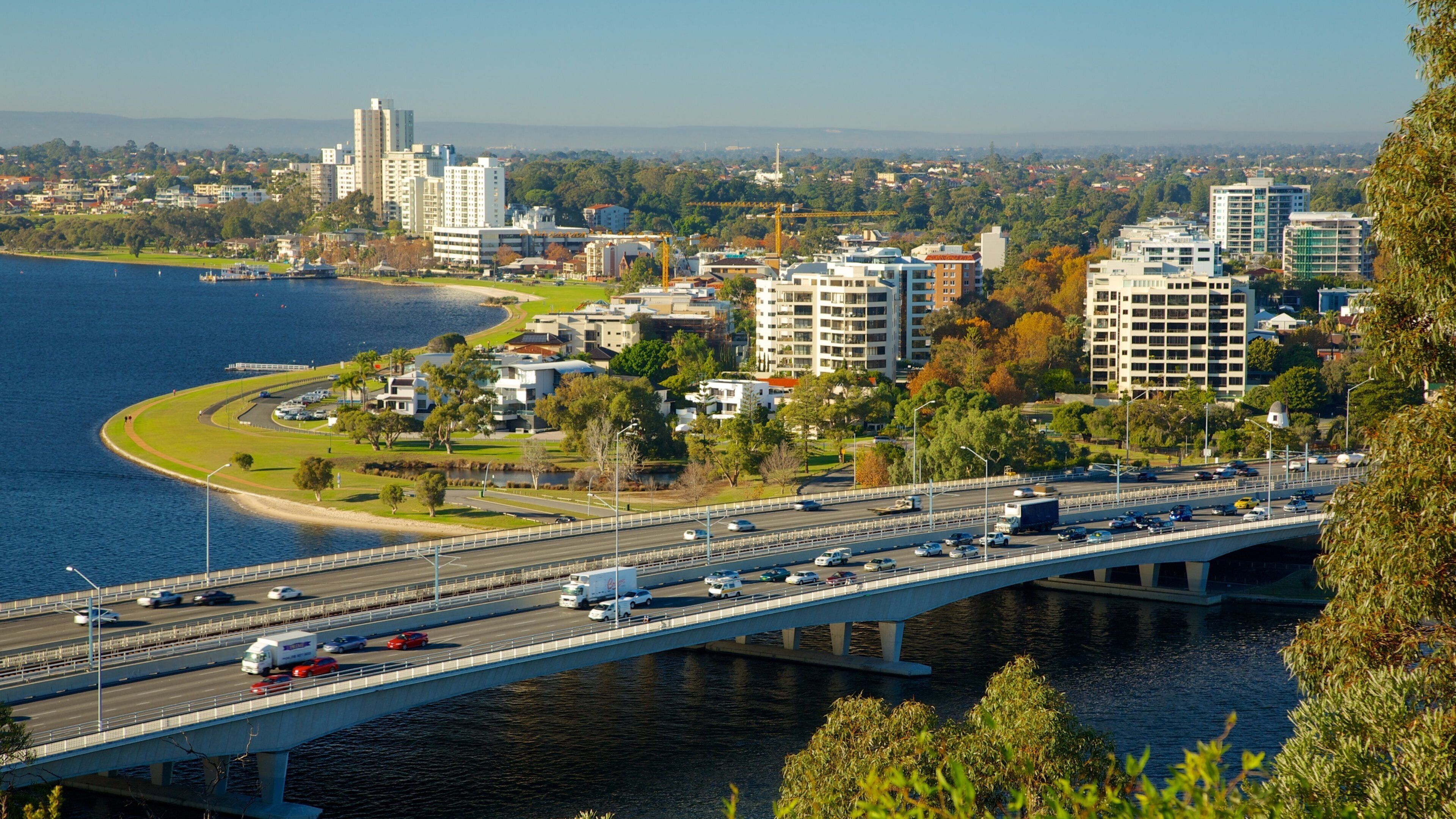 Kings Park e Giardino botanico che include città e ponte