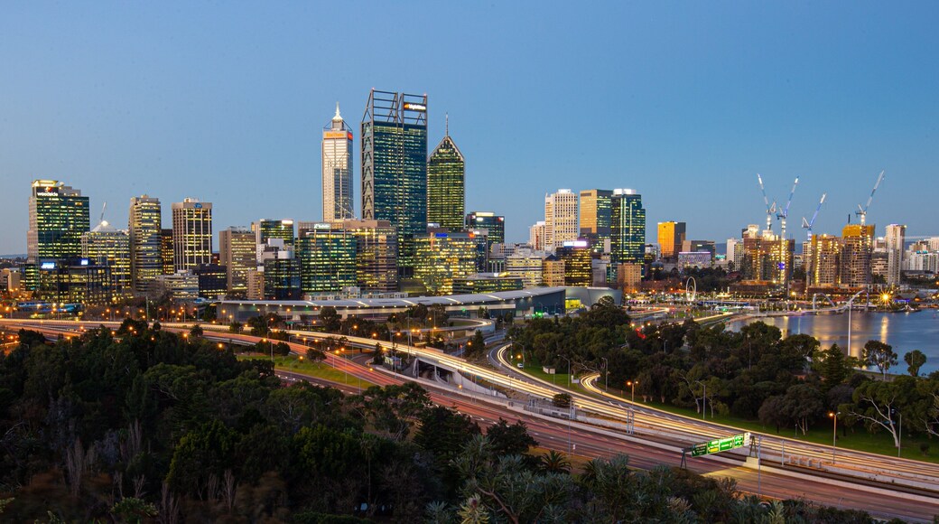 Kings Park and Botanic Garden showing a city and landscape views