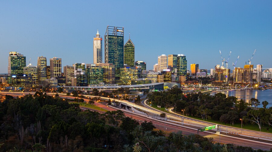 Kings Park and Botanic Garden showing a city and landscape views