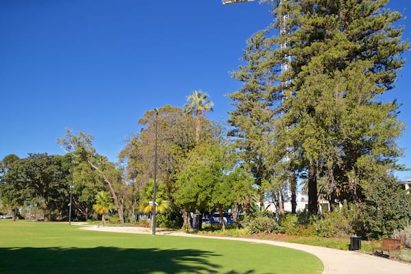 Supreme Court Gardens which includes a garden