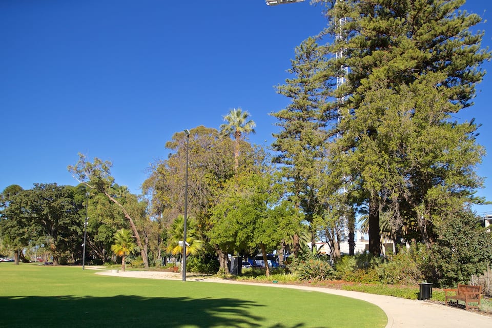 A park with green grass, tall trees, a curved path, and a tall building in the background.