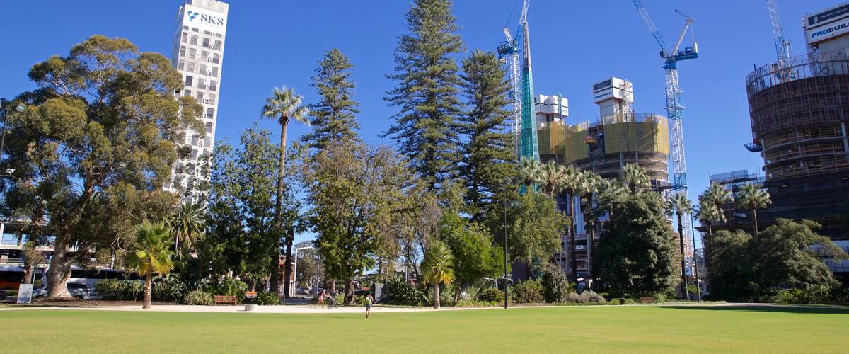 Supreme Court Gardens showing a garden