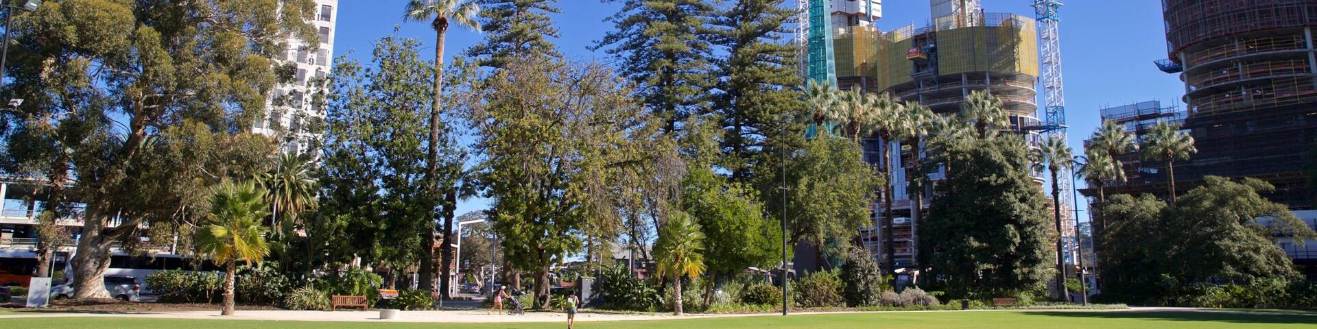 Supreme Court Gardens showing a garden
