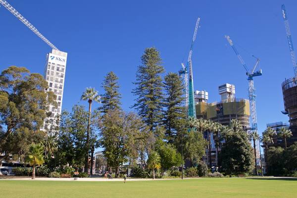 Supreme Court Gardens showing a garden
