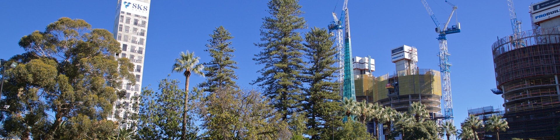 Supreme Court Gardens showing a garden