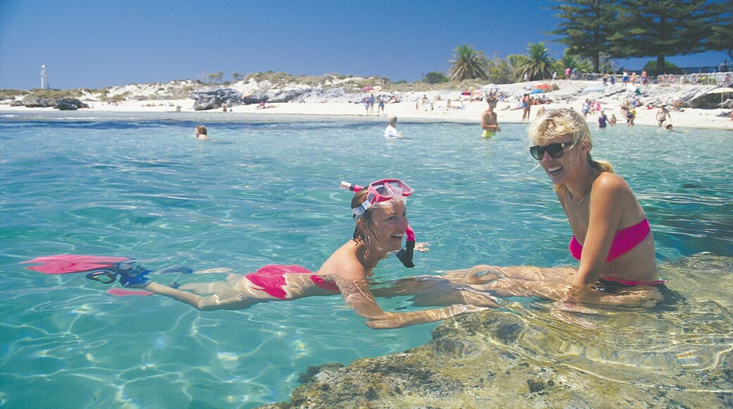The Basin inclusief snorkelen, een zandstrand en tropische uitzichten