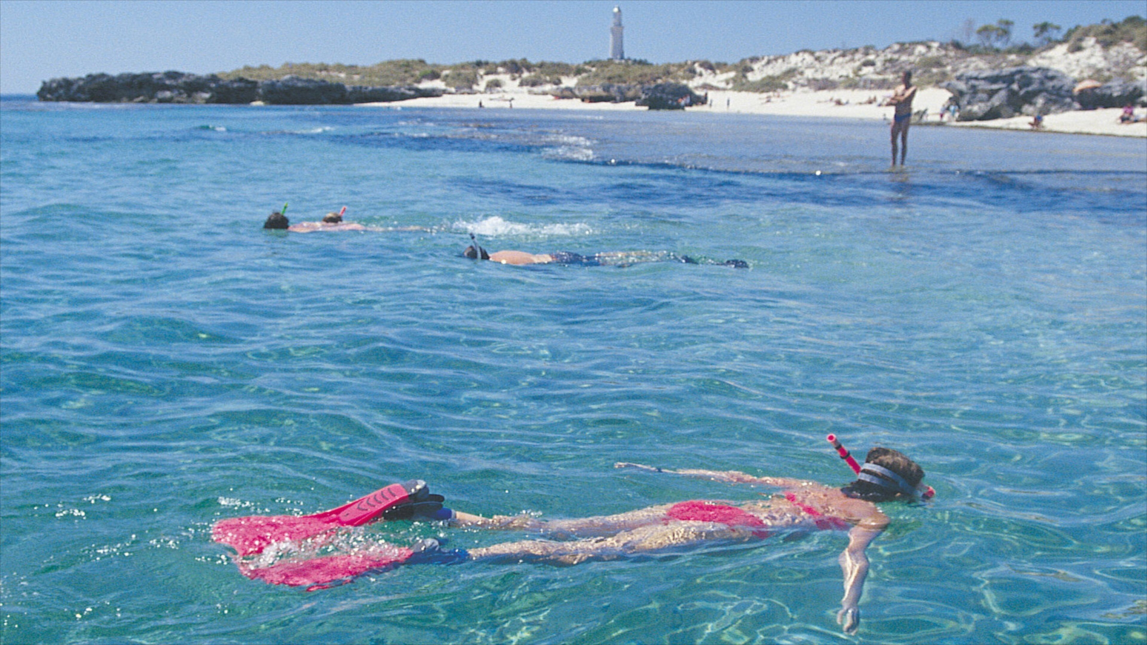 The Basin som viser kyst og snorkling