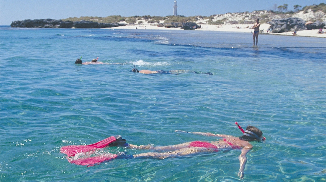 The Basin inclusief algemene kustgezichten en snorkelen