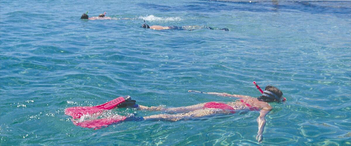 The Basin which includes snorkeling and general coastal views