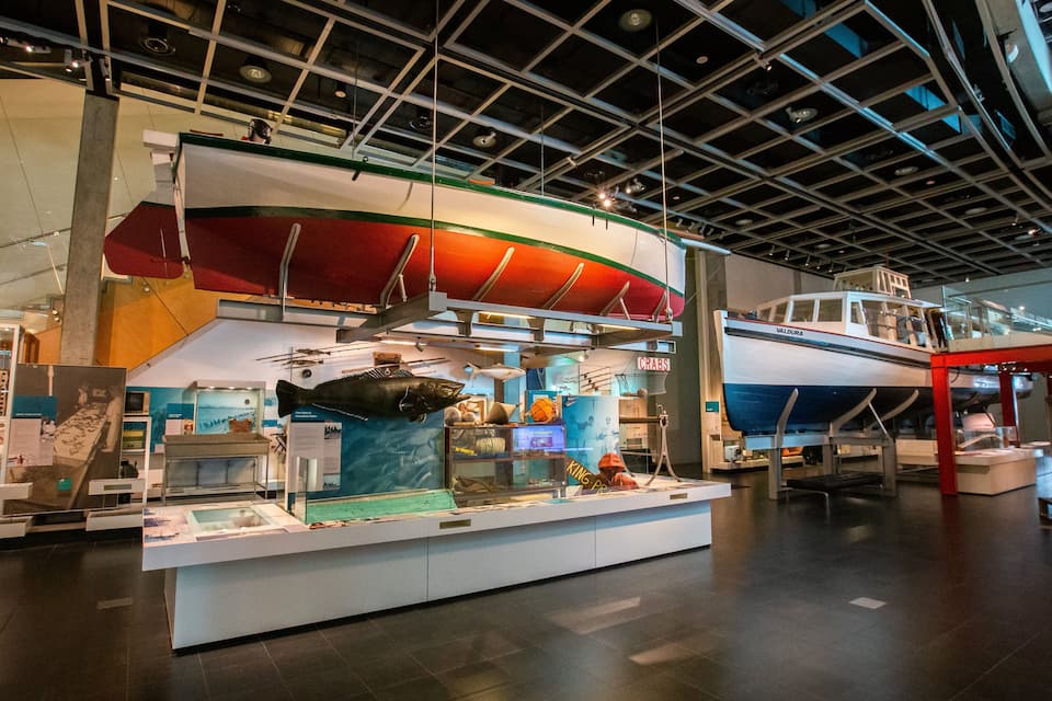 A museum exhibit with a model ship, a fish, and various maritime artifacts.