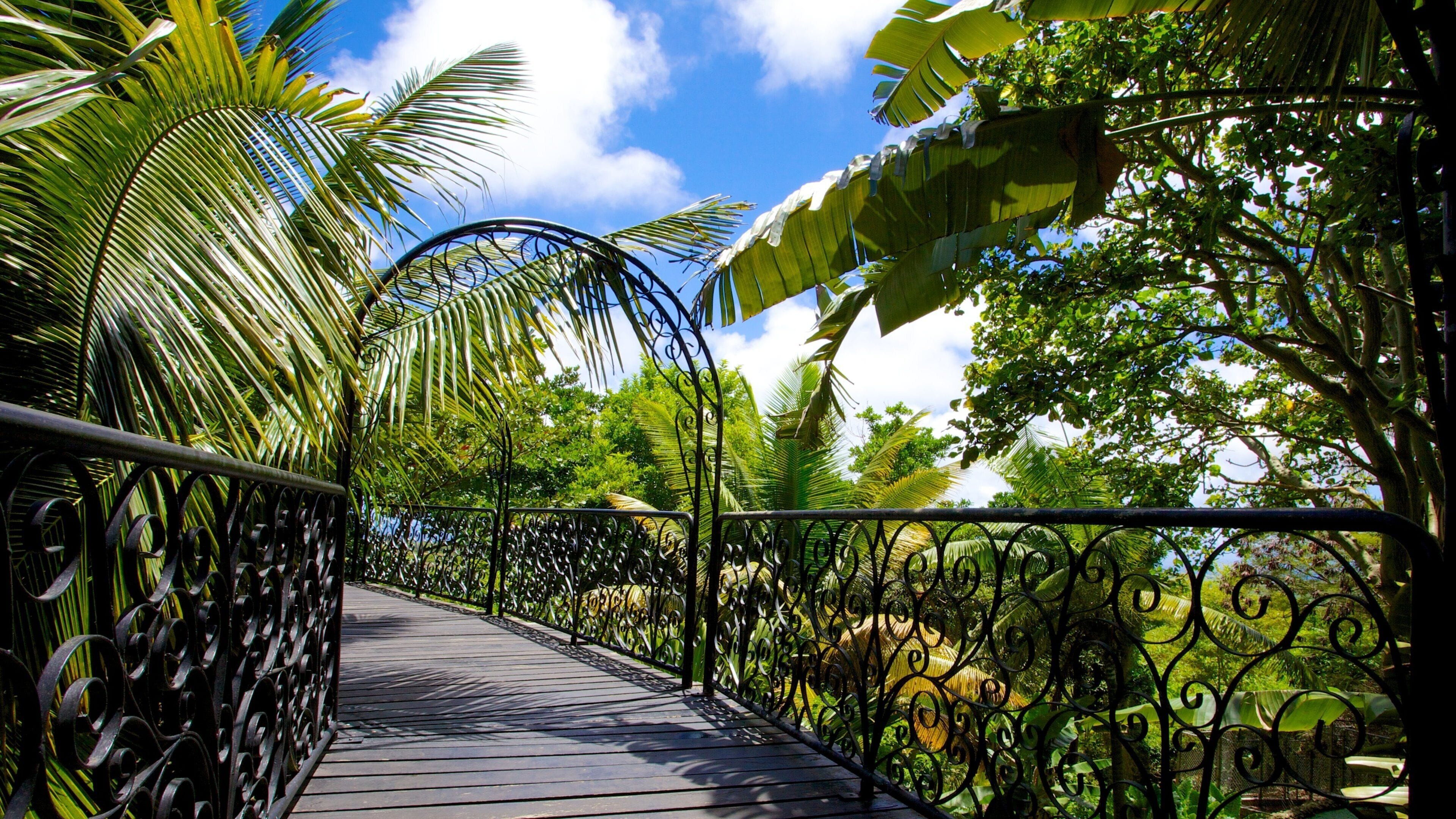 Barbados Wildlife Reserve som viser dyrehagedyr og tropisk landskap