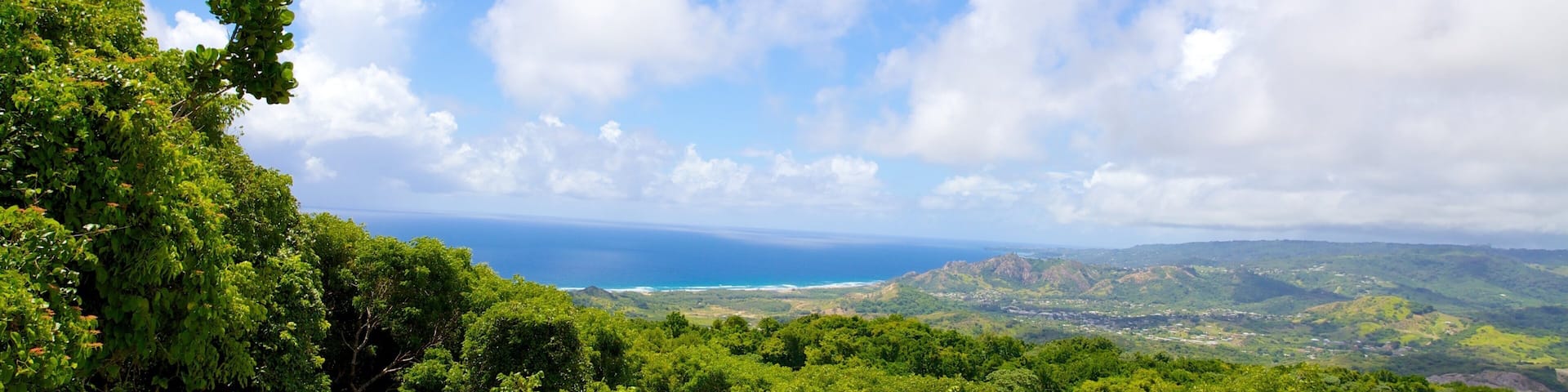 Réserve animaliÚre de la Barbade mettant en vedette scÚnes forestiÚres et panoramas