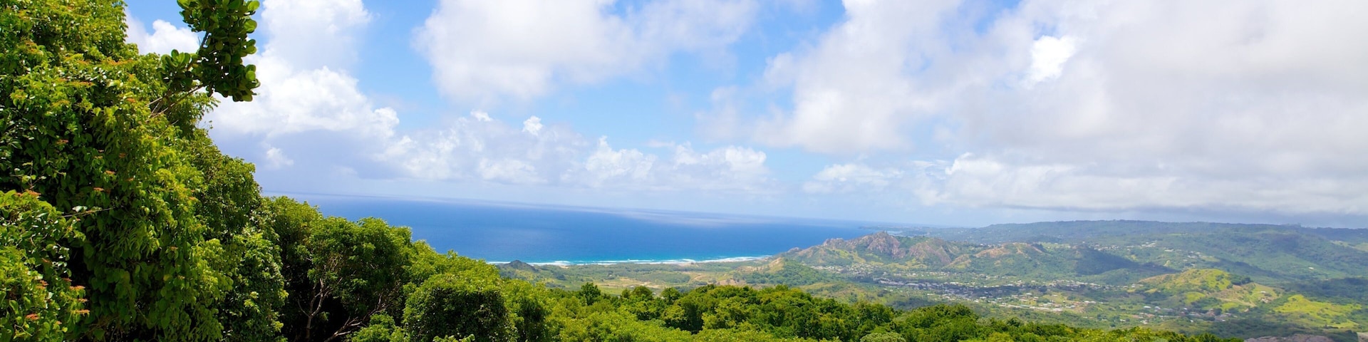 Barbados Wildlife Reserve mostrando paisagem e florestas
