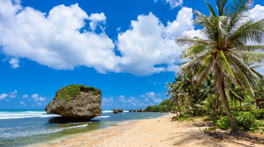 Rock formation on the beach of Bathsheba, East coast of island Barbados, Caribbean Islands - travel destination for vacation