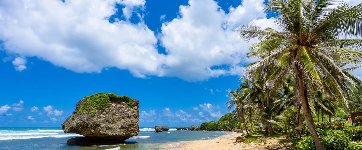 Une plage tropicale avec un ciel bleu dégagé, une grande formation rocheuse et des palmiers.