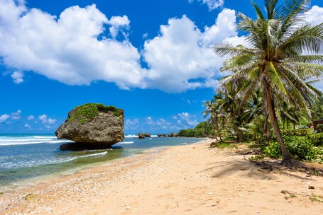 A tropical beach with clear blue skies, a large rock formation, and palm trees.
