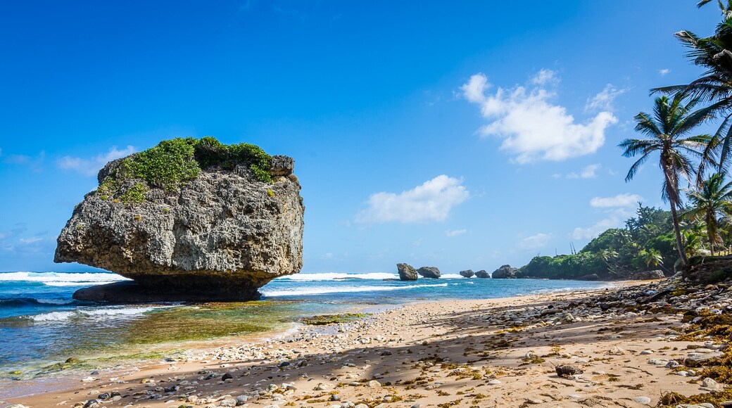 Bathsheba Beach