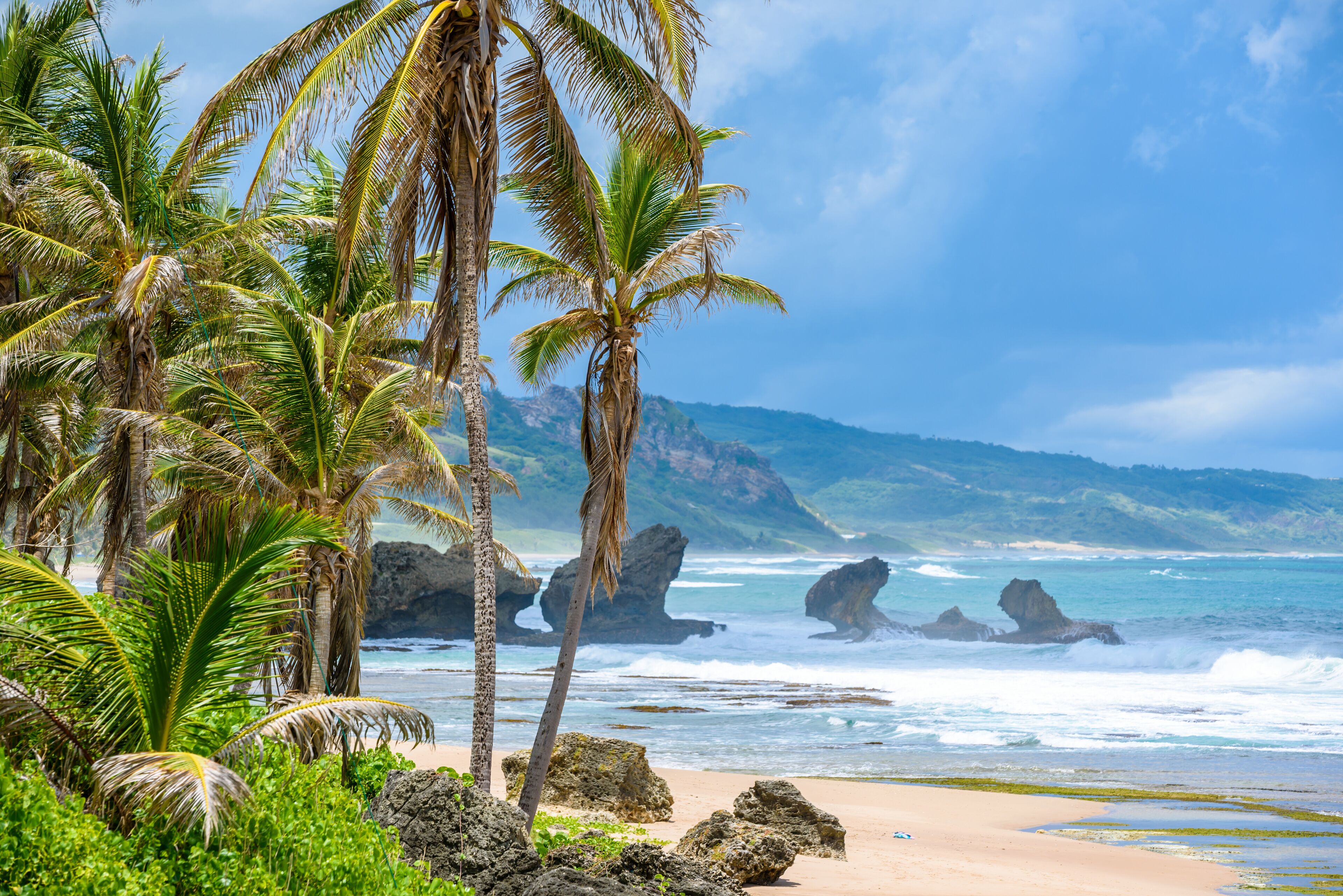 Rock formation on the beach of Bathsheba, East coast of  island Barbados, Caribbean Islands - travel destination for vacation