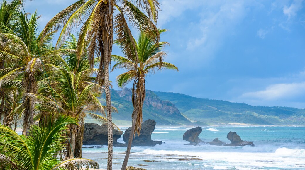 Rock formation on the beach of Bathsheba, East coast of island Barbados, Caribbean Islands - travel destination for vacation
