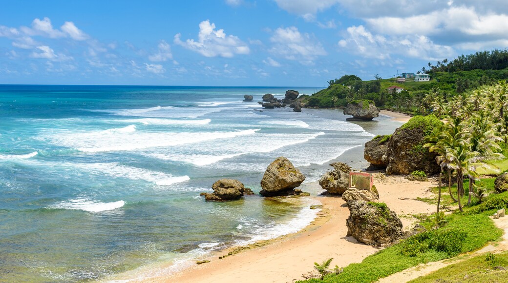 Rock formation on the beach of Bathsheba, East coast of island Barbados, Caribbean Islands - travel destination for vacation