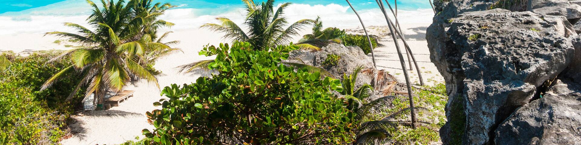 Bottom Bay