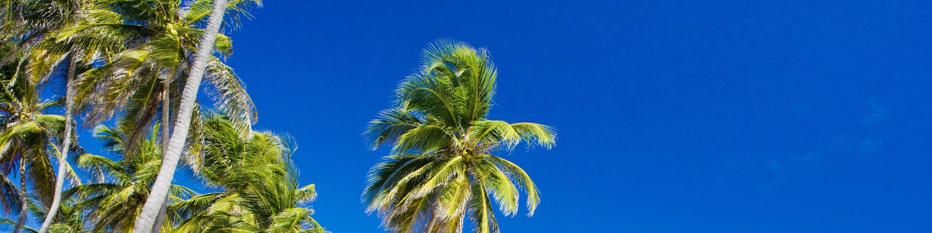 Bottom Bay, Barbados, Caribbean