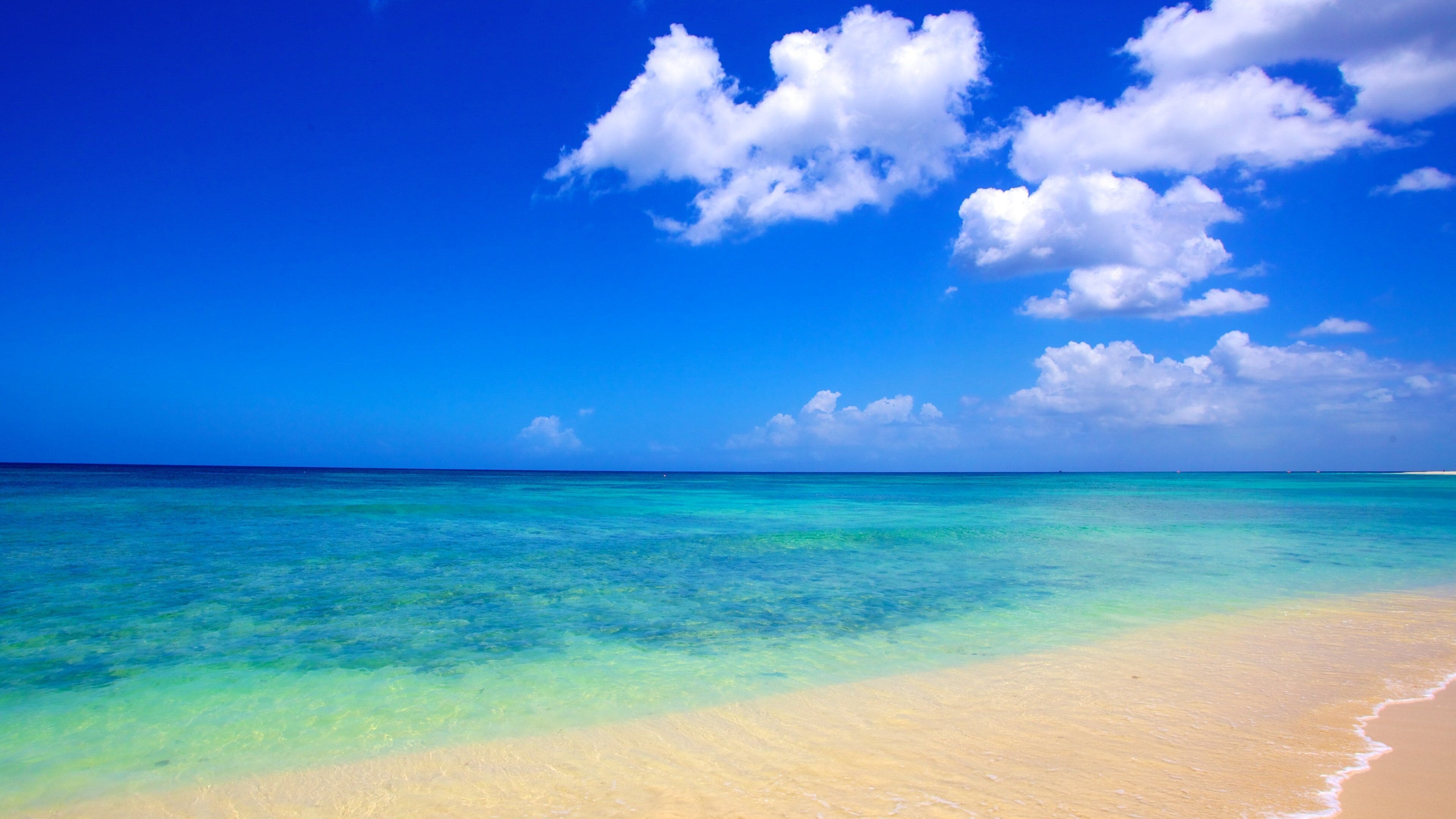 A beach with clear turquoise water and a sandy shore under a bright blue sky with fluffy clouds.