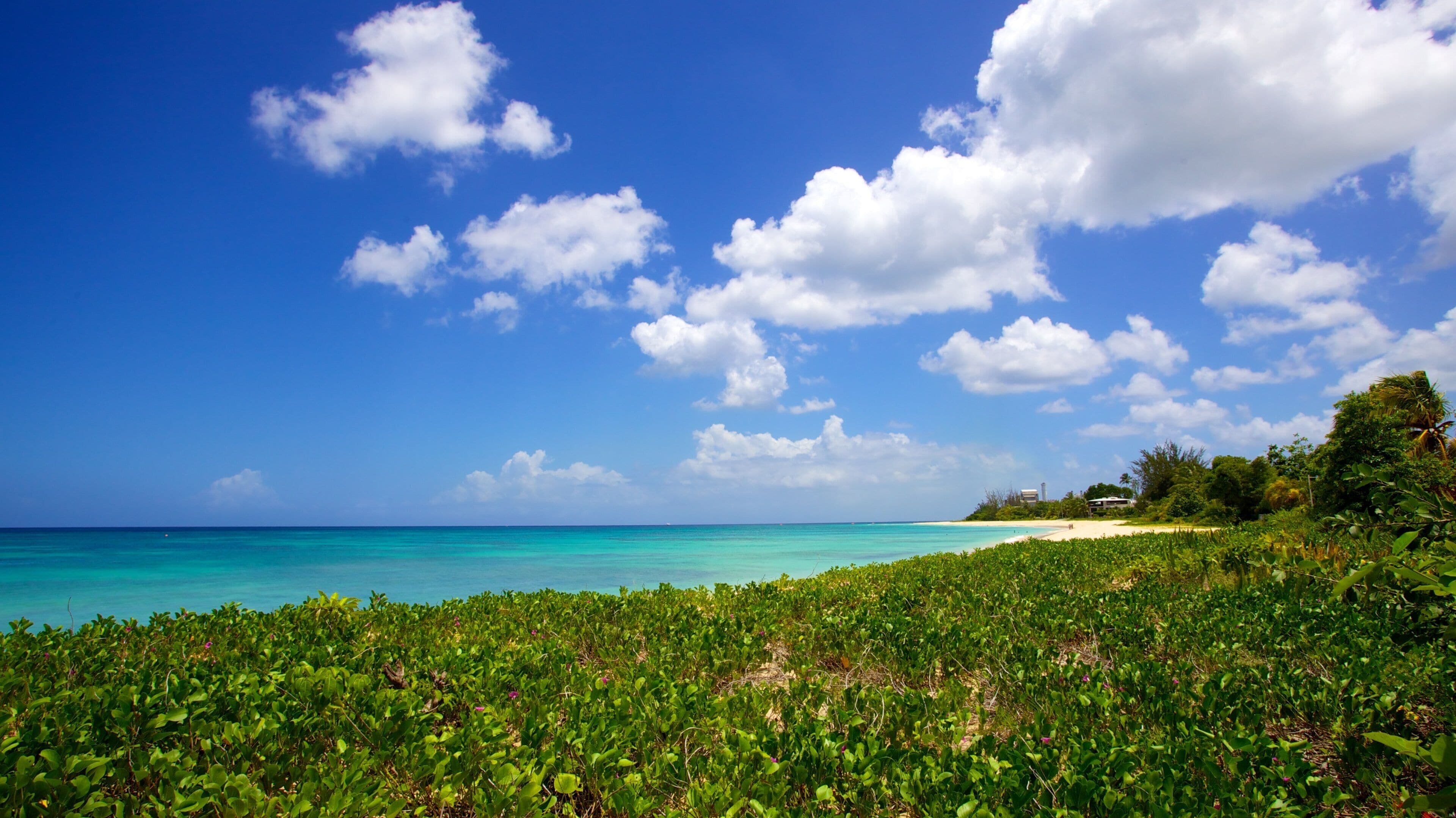 Una playa con aguas turquesas, vegetación verde y un cielo azul despejado con nubes.