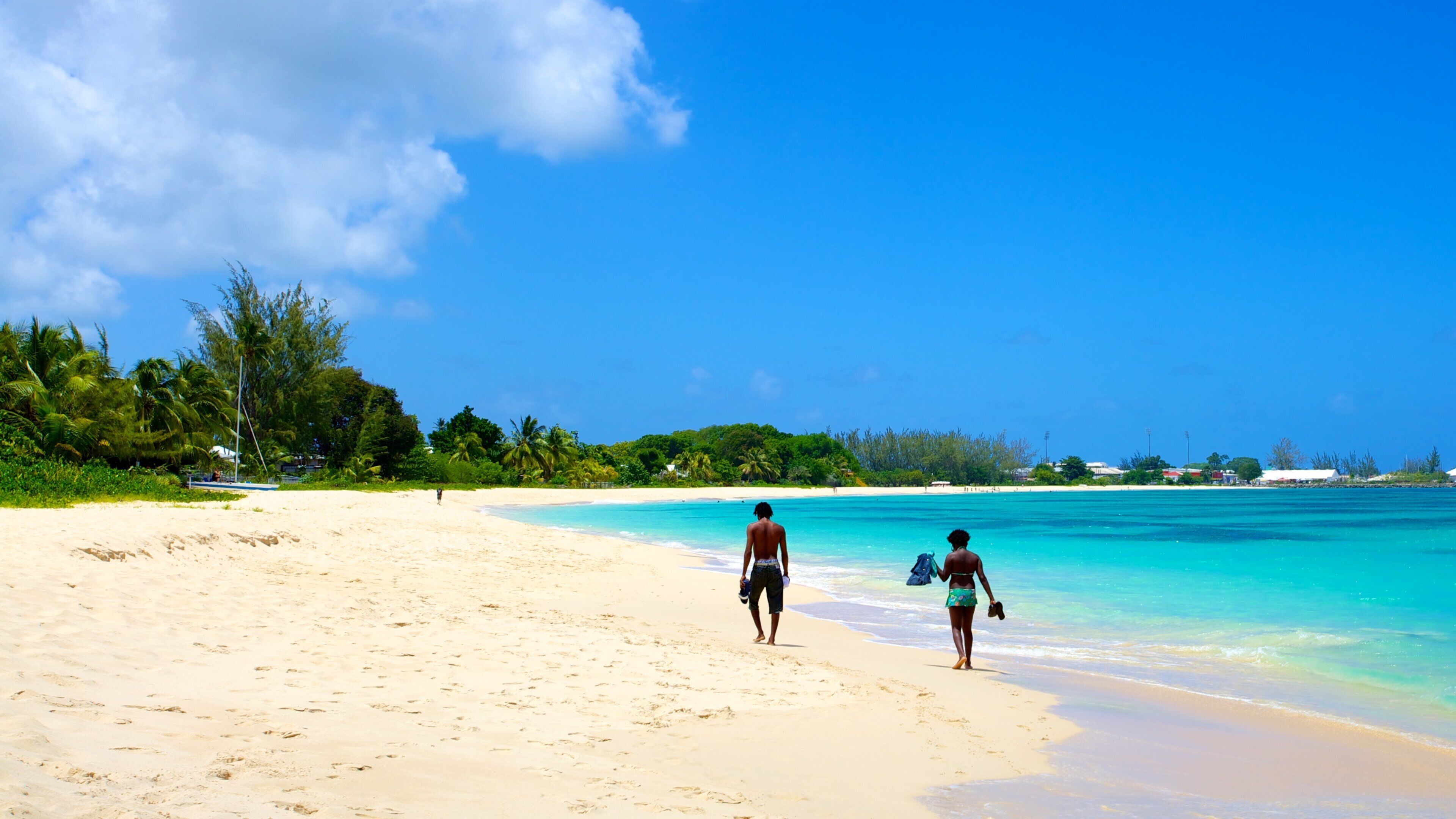 Brighton Beach featuring tropical scenes, a beach and landscape views