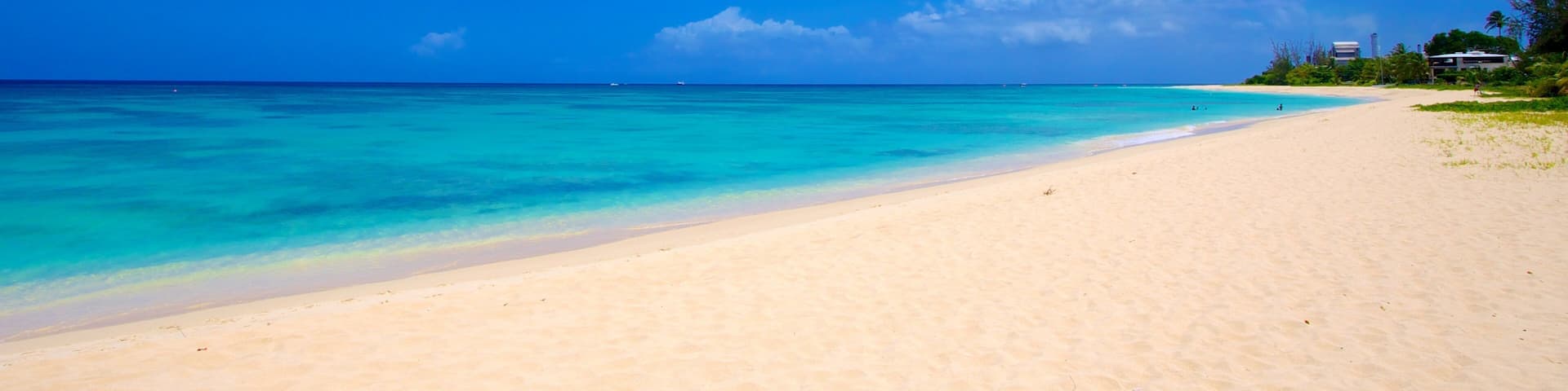 Brighton Beach som visar landskap, tropisk natur och en sandstrand